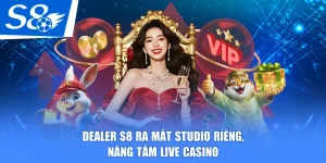 dealer s8
